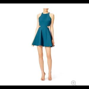 Elizabeth and James Emorie Mini Dress